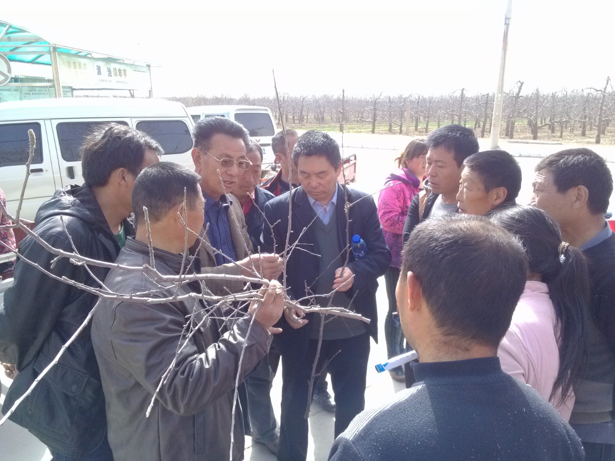 現場診斷病癥.jpg